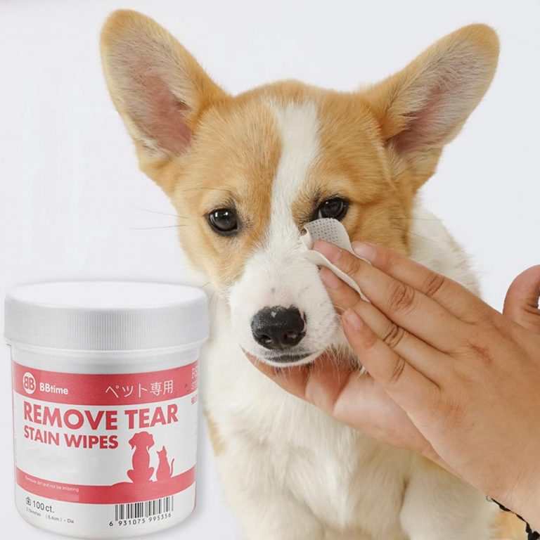 The Best Tear Stain Wipes for Dogs Review Total Pooch