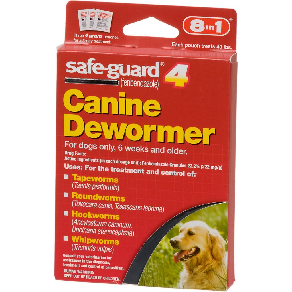 Best OvertheCounter Dewormers for Dogs Total Pooch