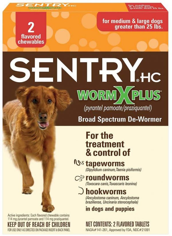 Best OvertheCounter Dewormers for Dogs Total Pooch