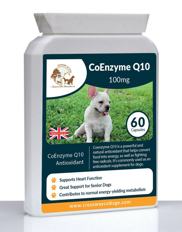 Coenzyme Q10 Senior Dog Antioxidant Natural Supplement for Dogs Immune