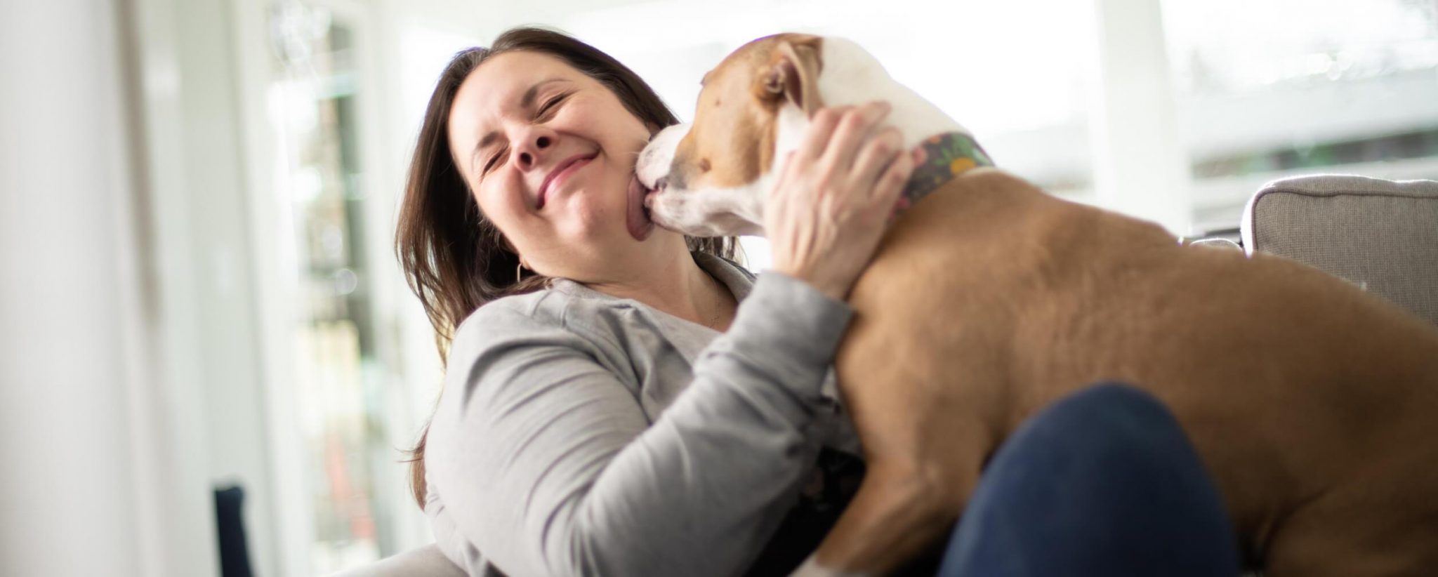 Quercetin for Dogs with Allergies Uses, Benefits and Side Effects