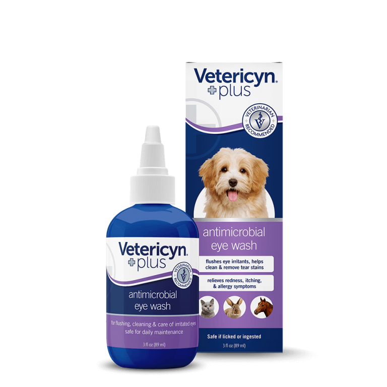 Best Saline Eyewash Solution for your Dog Total Pooch