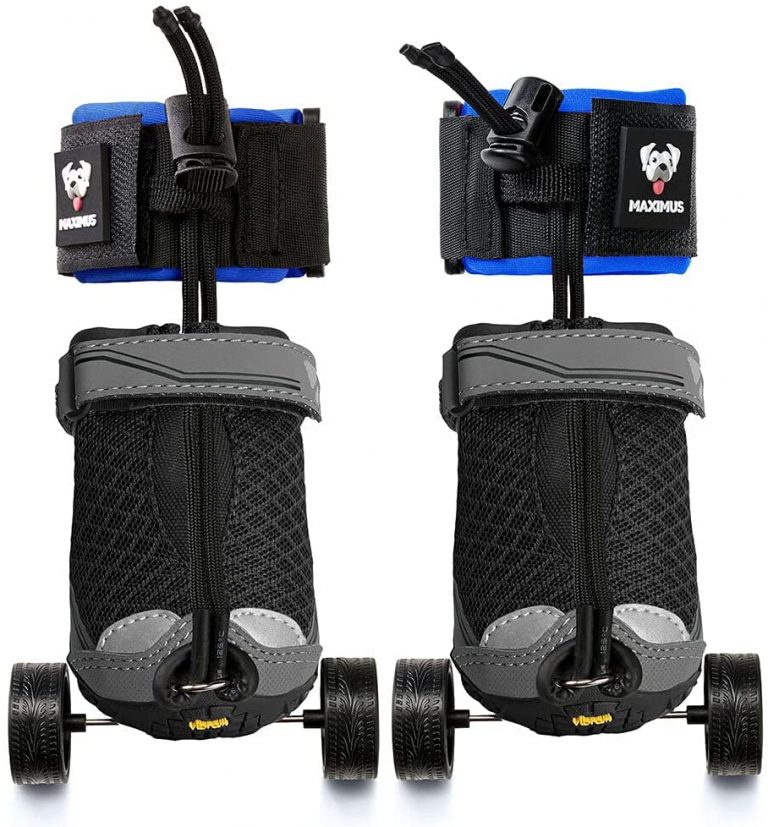 Maximus Skates Protective Dog Boots and Wheelchair Accessory for