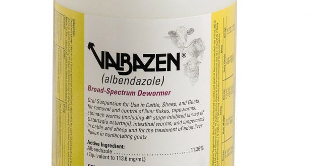 Valbazen Drench Dewormer for Dogs - Product Review - Total Pooch